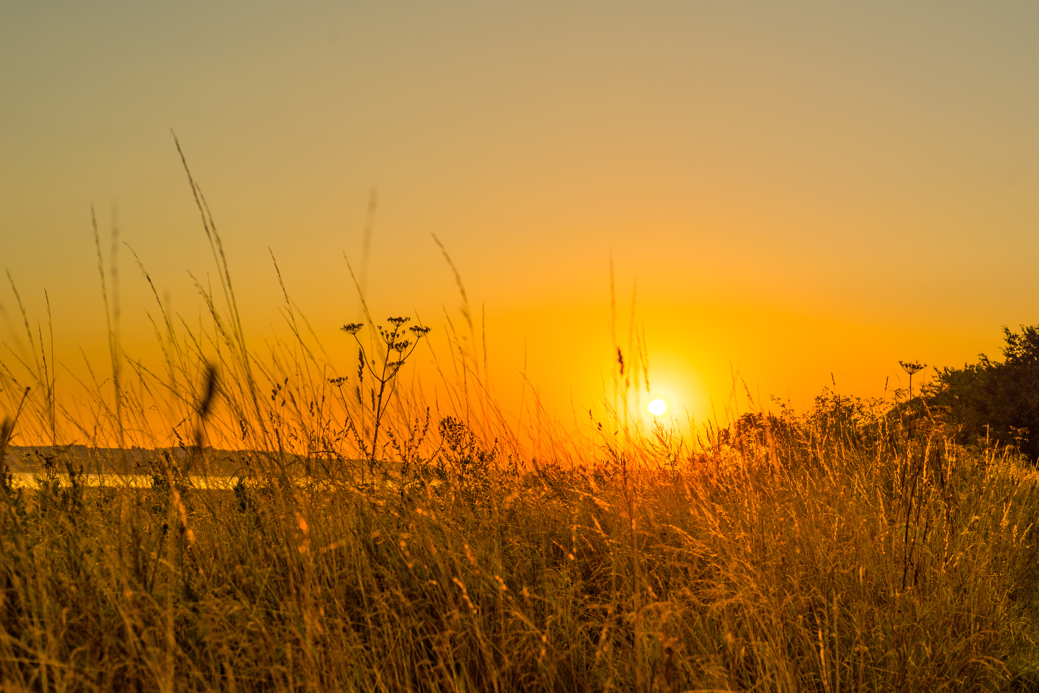 sunset of indian summer