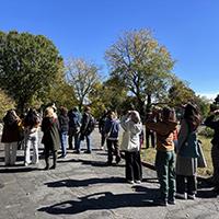 people outdoors looking up at birds