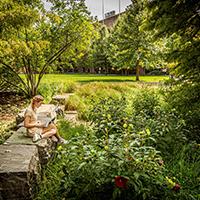 woman sitting in green space