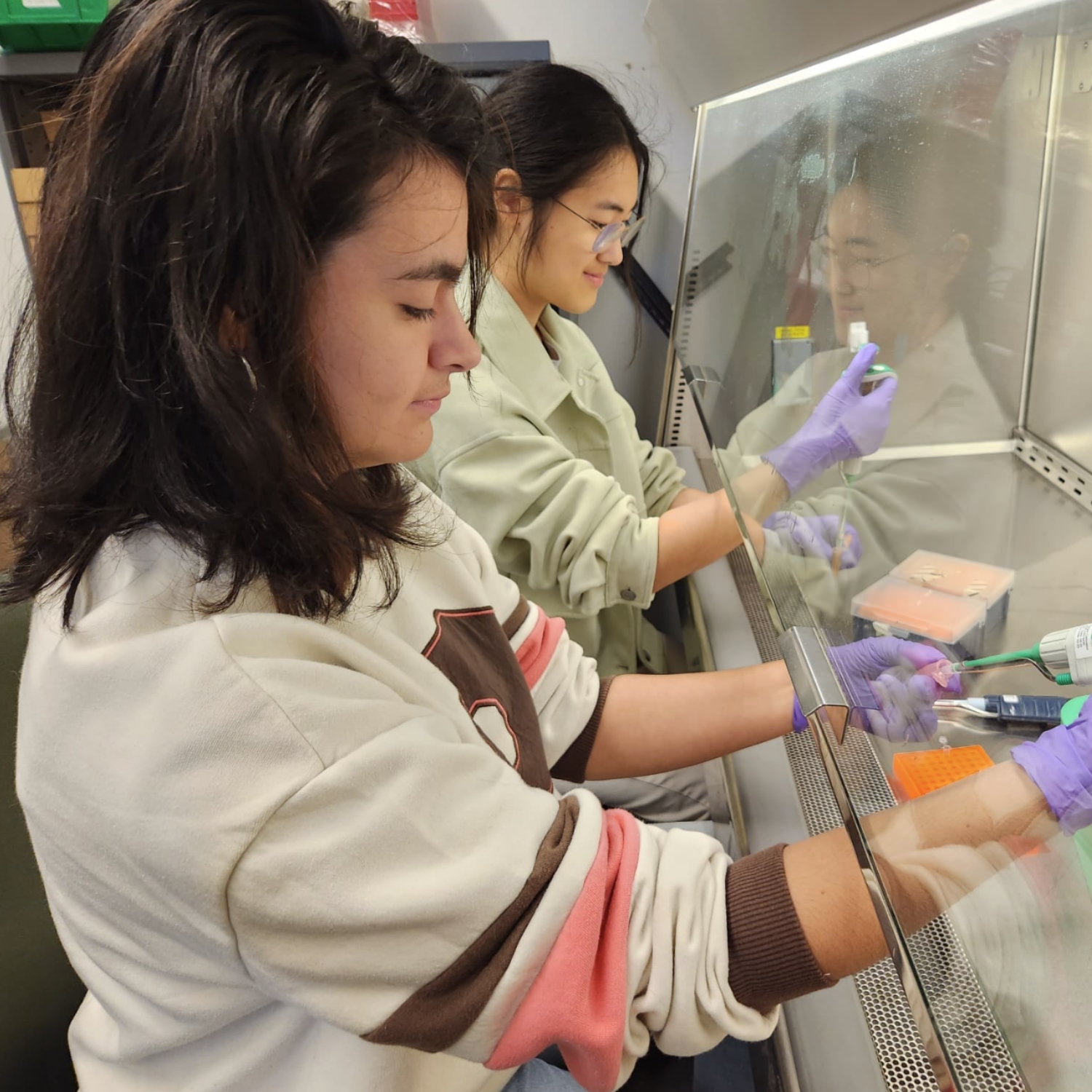 Students use pipettes under laboratory hood