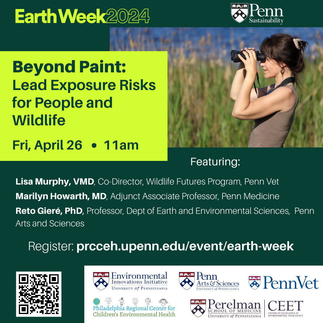 Beyond Paint Earth Week flyer