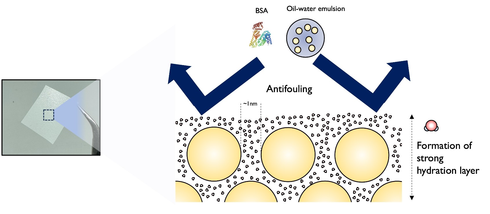 a diagram shows how a membrane can filter out oil  leaving clean water behind