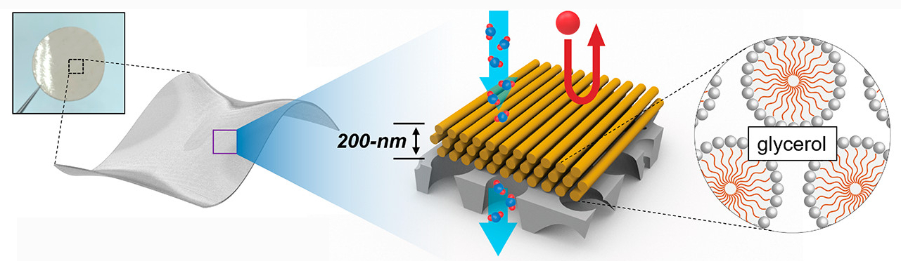 a different type of membrane involves the use of glycerol