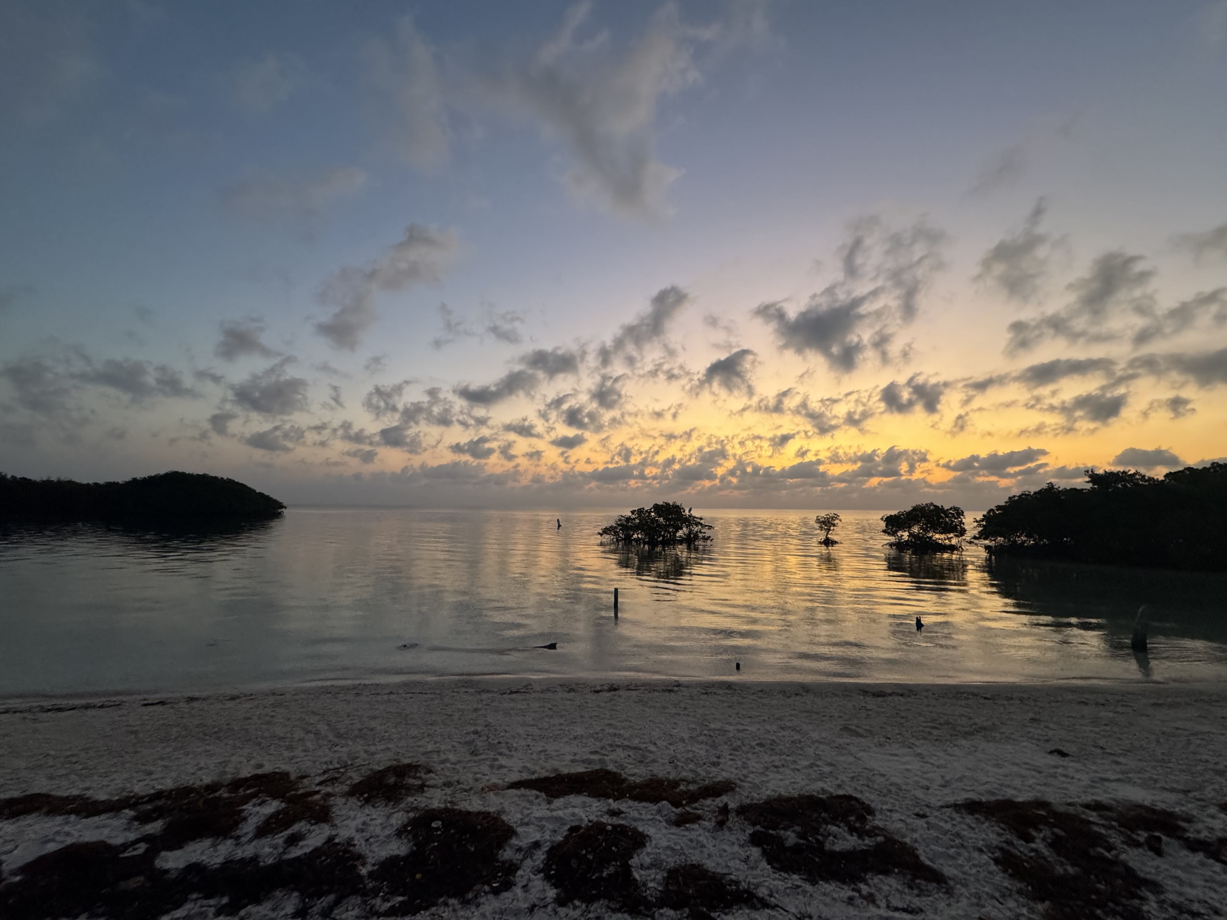 sunset of mangroves at the beach in Biscayne National Park Florida