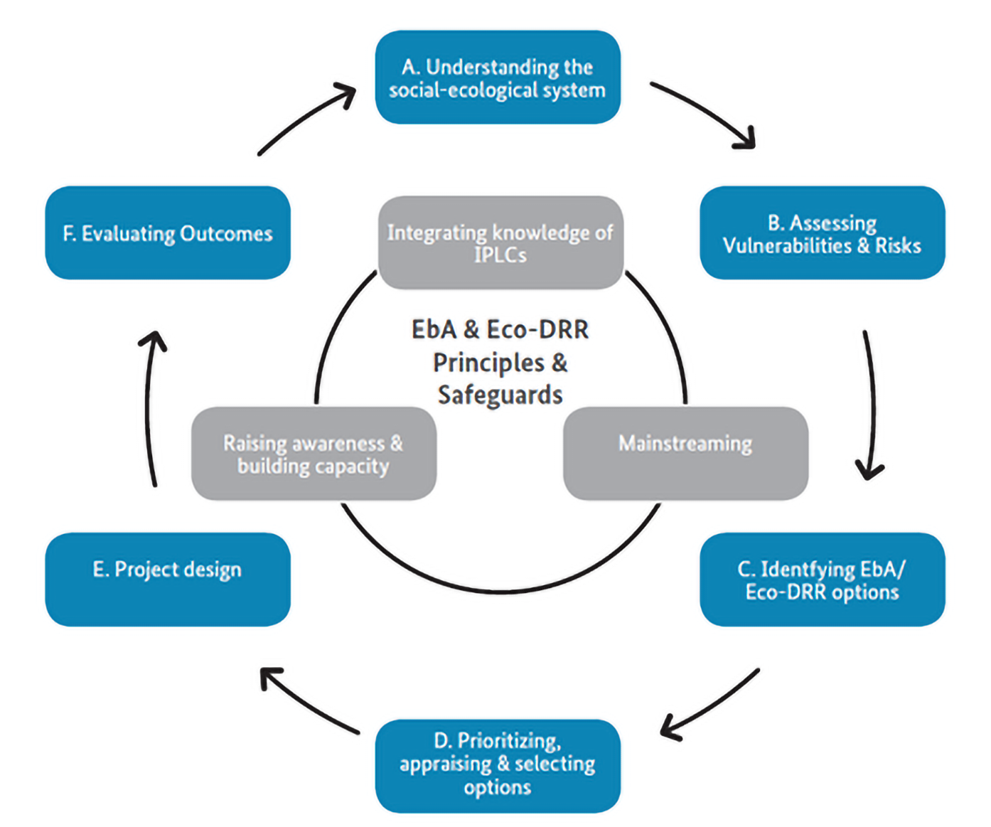Iterative process for planning and implementing Ecosystem-based Approaches (EbA) and Ecosystem-based disaster risk reduction (Eco-DRR) as part of overall climate change adaptation and disaster risk reduction strategies. Adapted from the Voluntary Guidelines for Designing and Effectively Implementing Ecosystem-based Approaches to Climate Change Adaptation and Disaster Risk Reduction