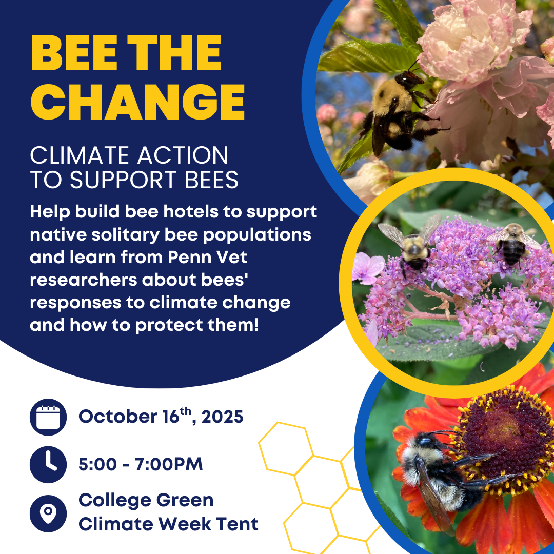 Bee the Change event 