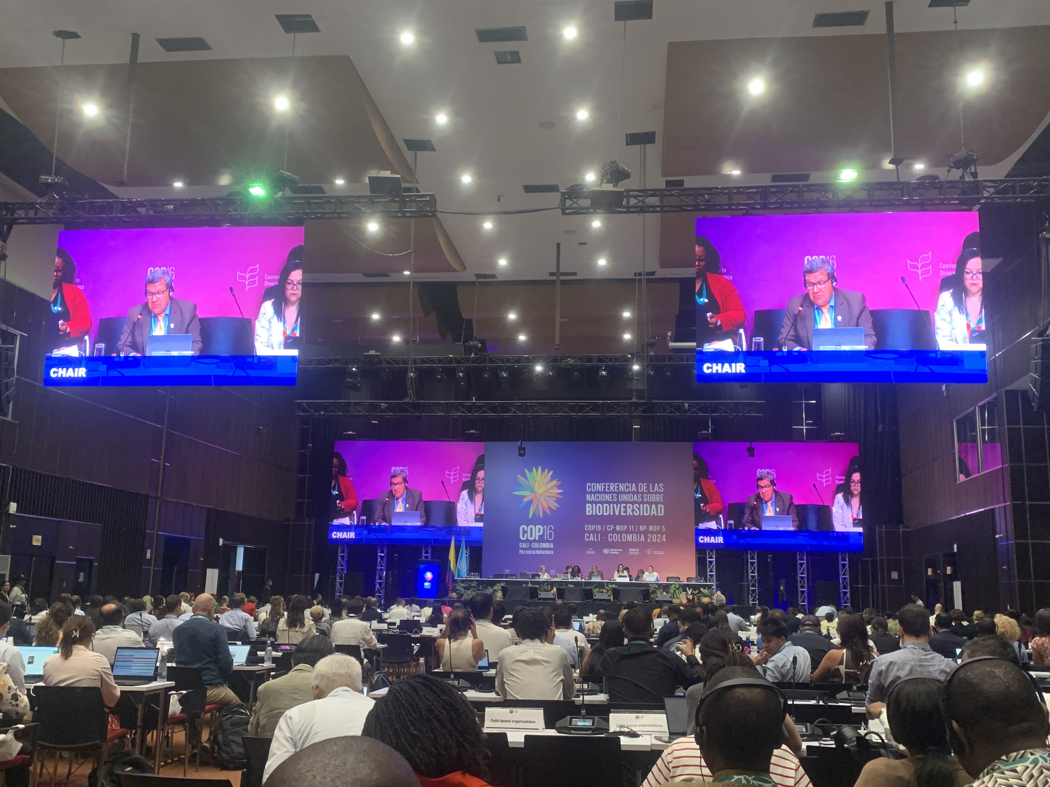 Large United Nations convening with speaker shown on screens