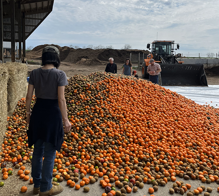 outdoors a pile of orange fruit at farm