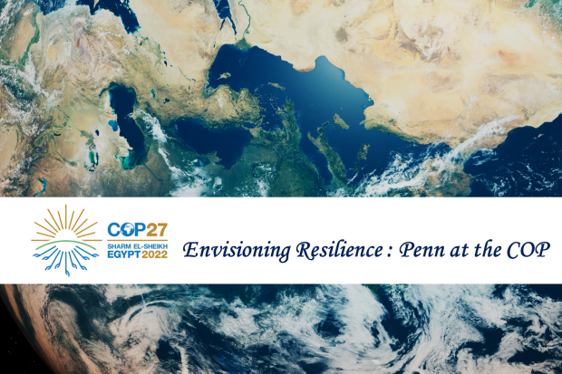 Envisioning Resilience: Pen at the COP