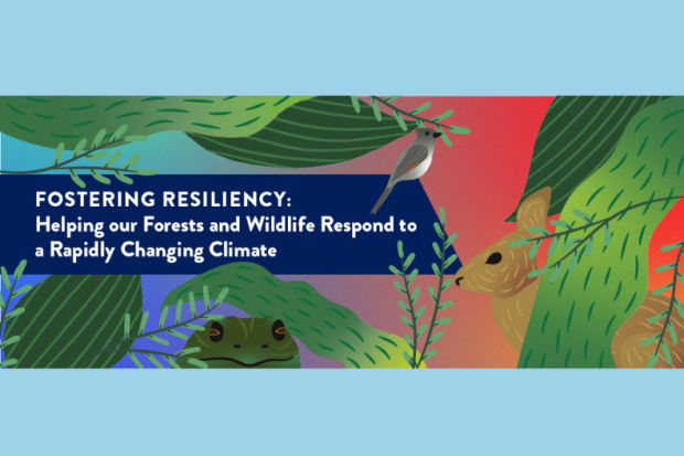 This image showcases the event details. The event, "Fostering Resiliency: Helping our forests and wildlife respond to a rapidly changing climate" will be held April 18, from 12-1 pm in a virtual setting. 