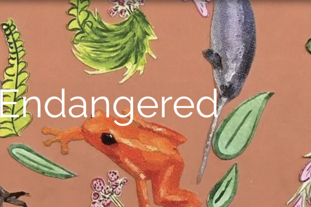 Mass for the Endangered