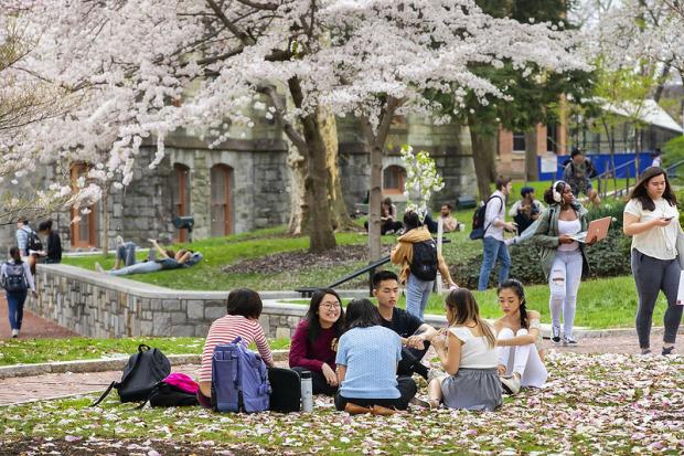 student sitting on grass in front of College Hall
