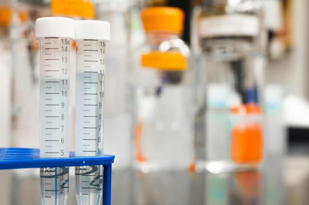 An image of test tubes in a lab.