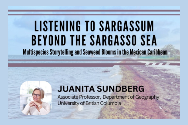 Listening to Sargassum Beyond the Sargasso Sea