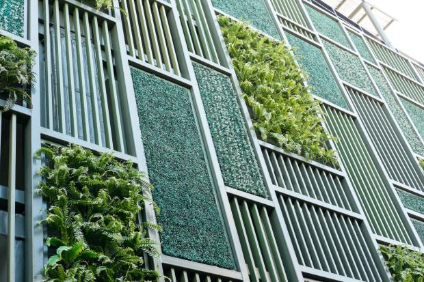 Green building wall with living fern elements.