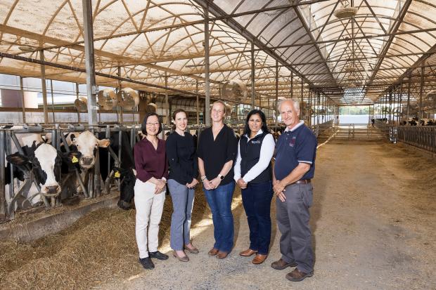 Penn Vet’s Zhengxia Dou, Laurel Redding, Meghann Pierdon, and Dipti Pitta, together with Parsons, will help lead work in five areas related to the Center’s mission: Animal Welfare, Regenerative Agriculture, Food Security, Climate Mitigation, and Human Health Interfaces. (Image: Penn Vet)