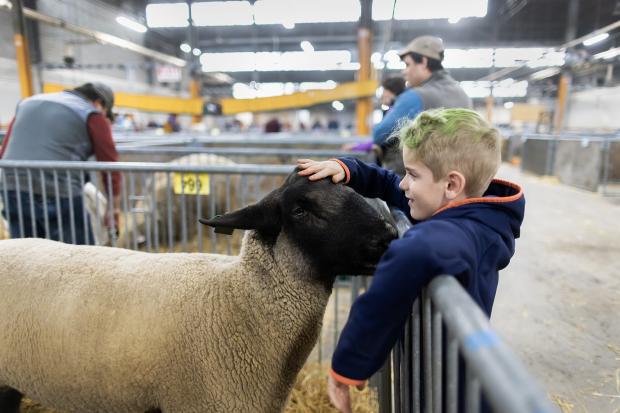 Child with animal at 2023 Farm Show.