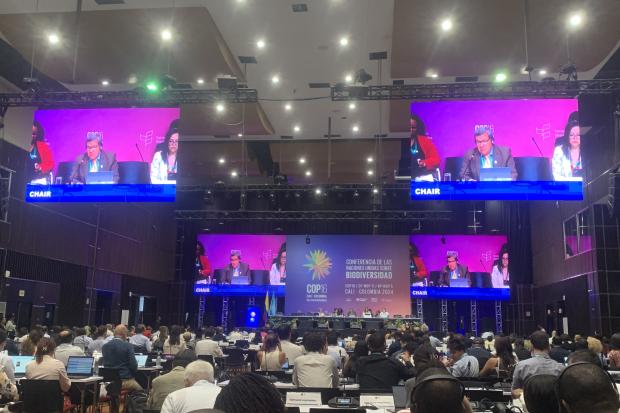 image from UN conference featuring large audience and speaker on big screens