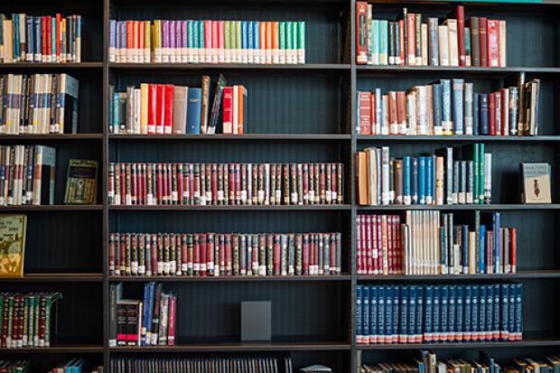 shelves with colorful books