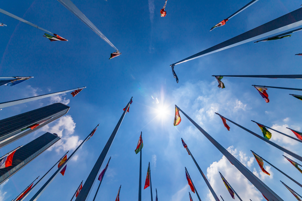 flags of united nations members seen from the ground