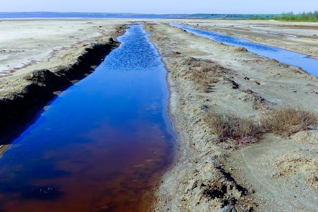 Green, diatom and blue-green algae in the blooming water of a coastal salt puddle on the shore