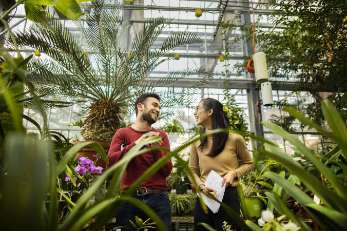 Students working together in greenhouse