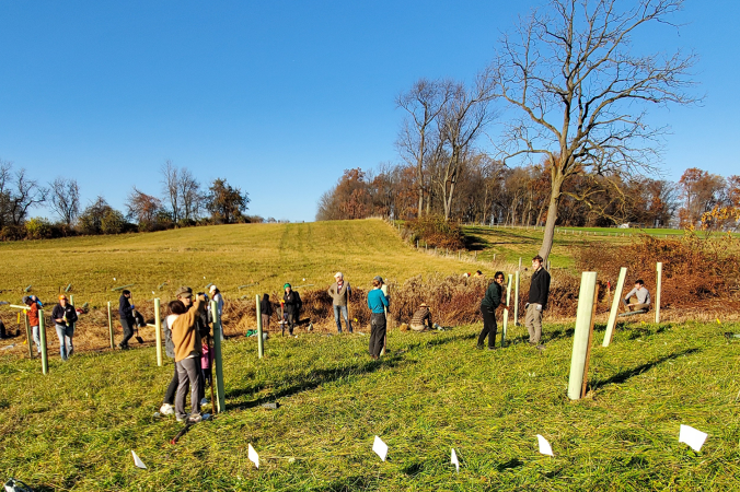 volunteers planting trees at the New Bolton Center