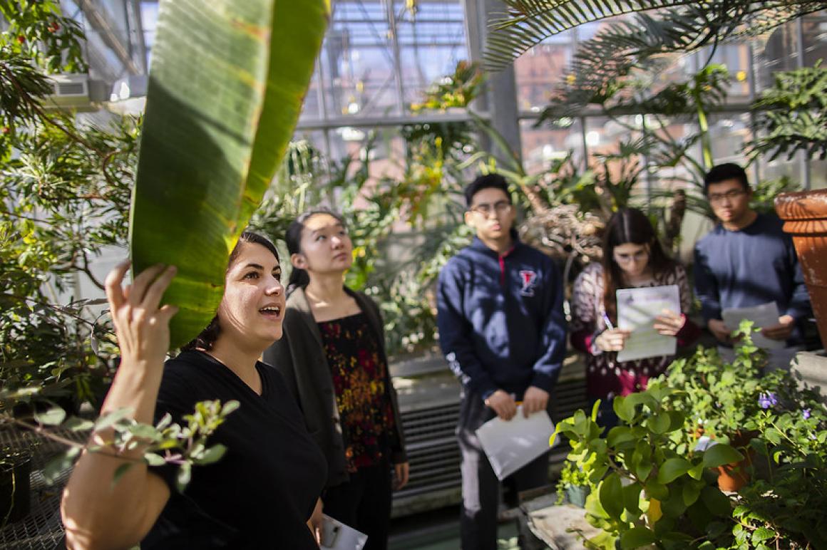 Students gathered in a garden Credit Eric Sucar