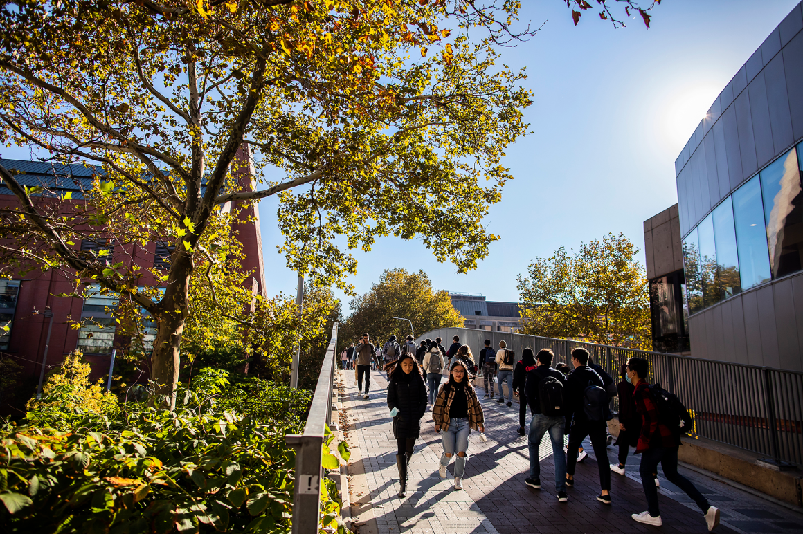 Campus walk