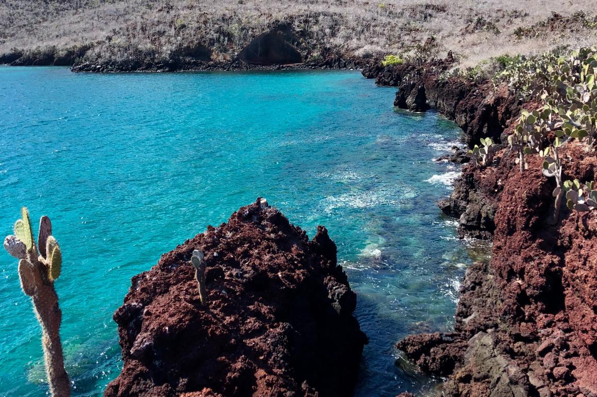 Land and sea on Galapagos , Ecuador