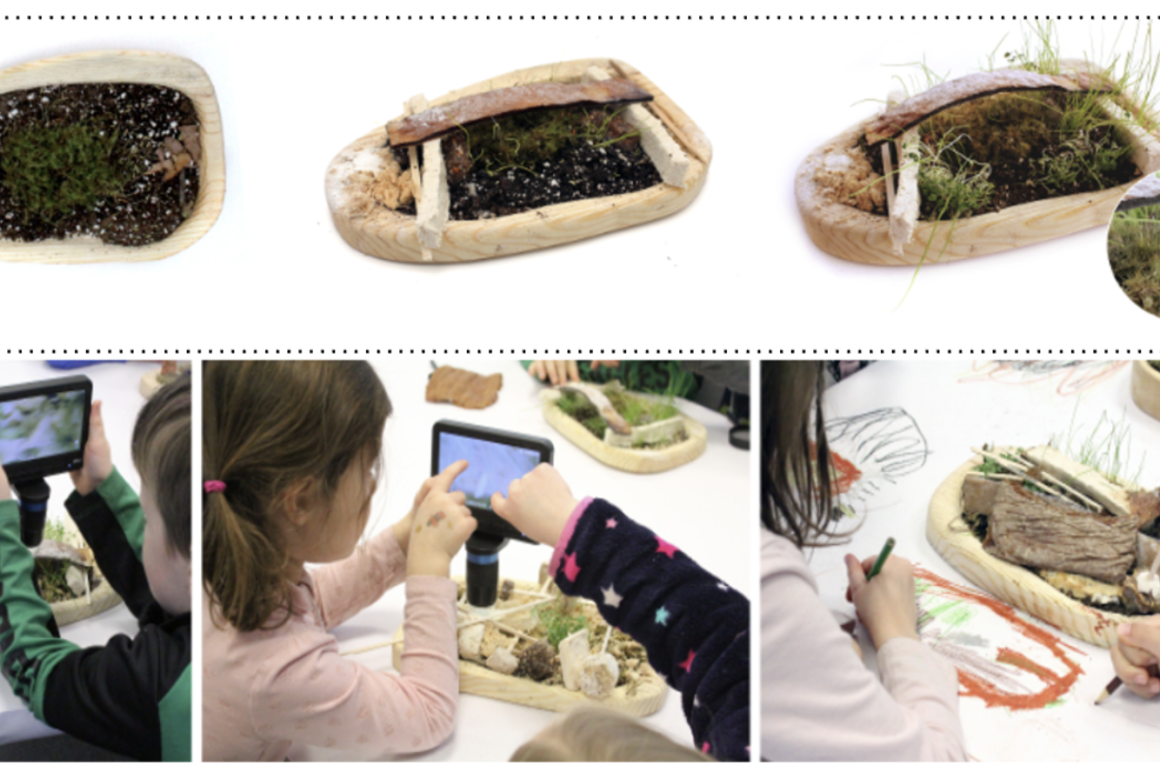 biome building and science-art based analysis in preK classrooms
