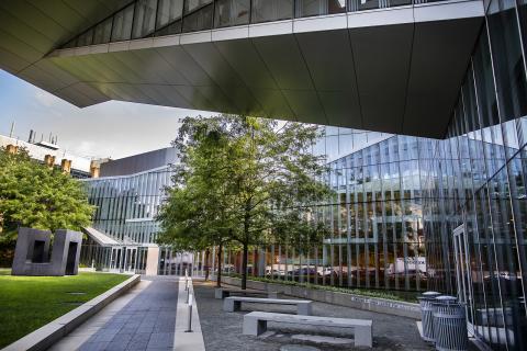School of Engineering and Applied Science