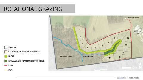 agroforestry site layout including silvopasture and riparian buffer