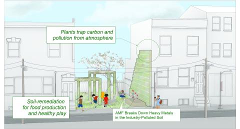 benefits_symbiotic_architecture_2