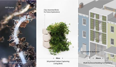 figure 9. mycelium, brick, architecture
