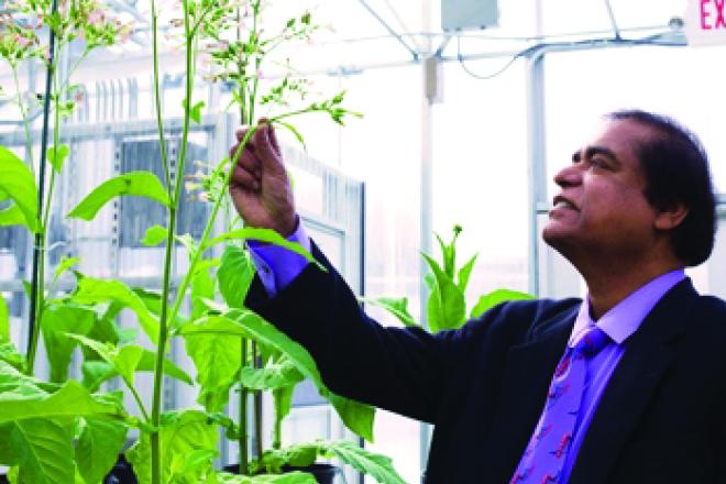 man with dark suit reaching for green plants