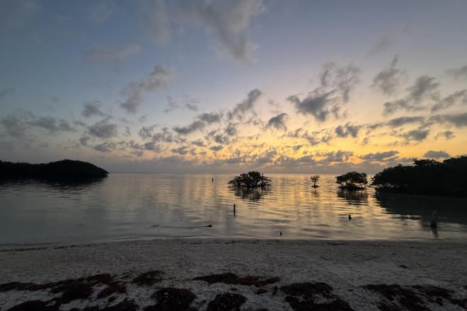 sunset of mangroves at the beach in Biscayne National Park Florida