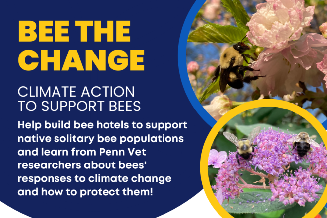 Bee the Change event 