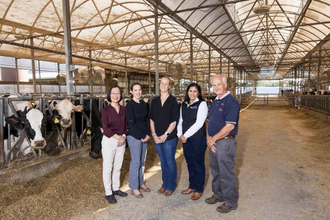 Penn Vet’s Zhengxia Dou, Laurel Redding, Meghann Pierdon, and Dipti Pitta, together with Parsons, will help lead work in five areas related to the Center’s mission: Animal Welfare, Regenerative Agriculture, Food Security, Climate Mitigation, and Human Health Interfaces. (Image: Penn Vet)
