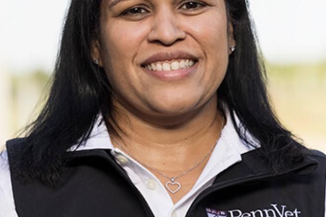Dr. Dipti Pitta