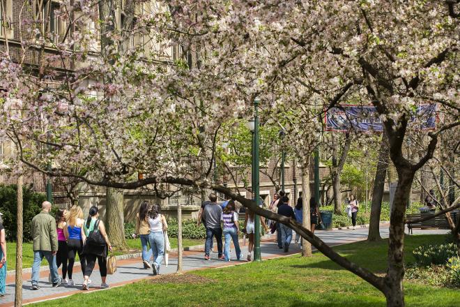 Penn campus during summer. CSAP 3.0