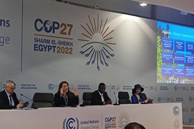 COP27