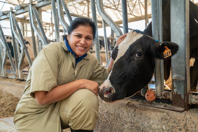 Dipti Pitta kneeling next to a Holstein dairy cow.