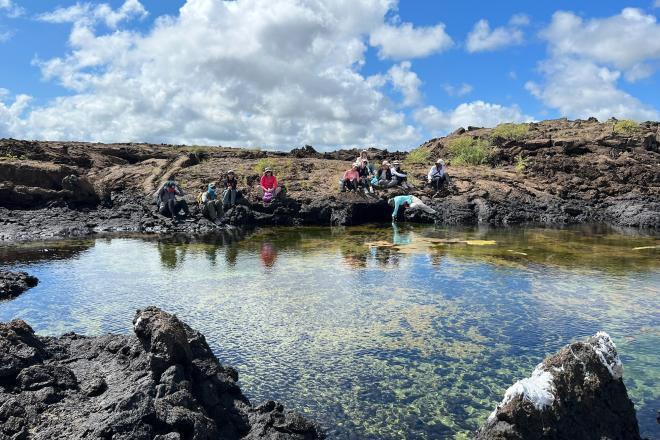students studying the galapagos, sitting on waterfront