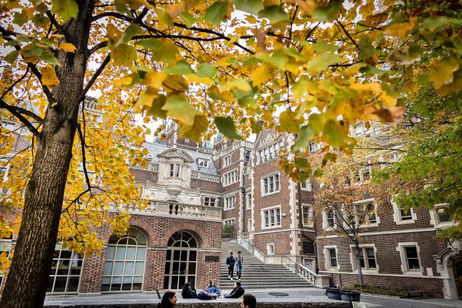 autumn leaves at the quad