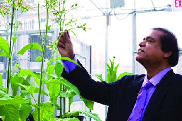 man with dark suit reaching for green plants