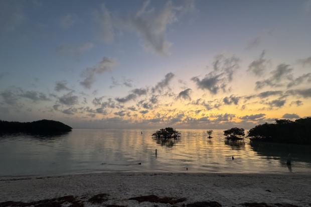 sunset of mangroves at the beach in Biscayne National Park Florida
