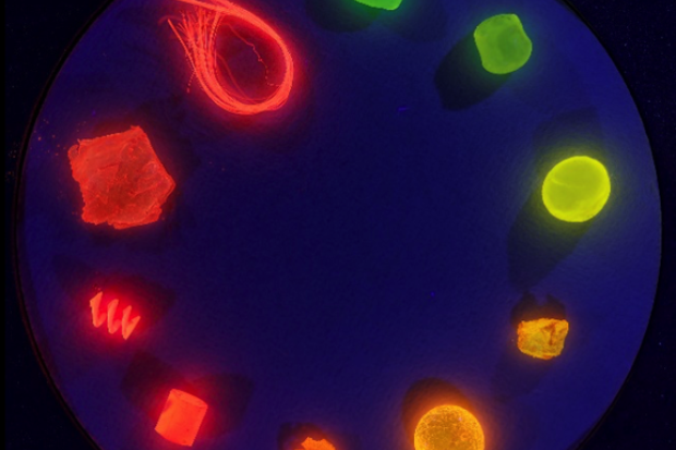 Fluorescence image of the 10 most common Nile Red–stained microplastics (PP, HDPE, LDPE, EPS, PS, PC, ABS, PVC, PET, PA) under 405 nm excitation