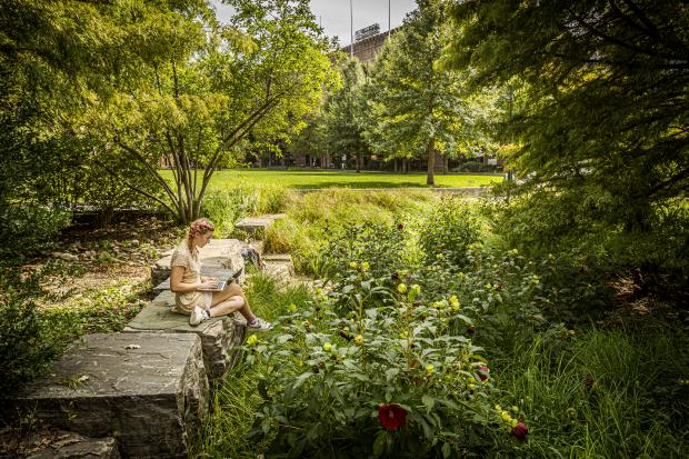 woman sitting under tree on Penn's campus