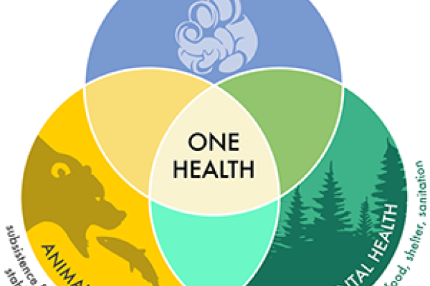 colorful venn diagram one health